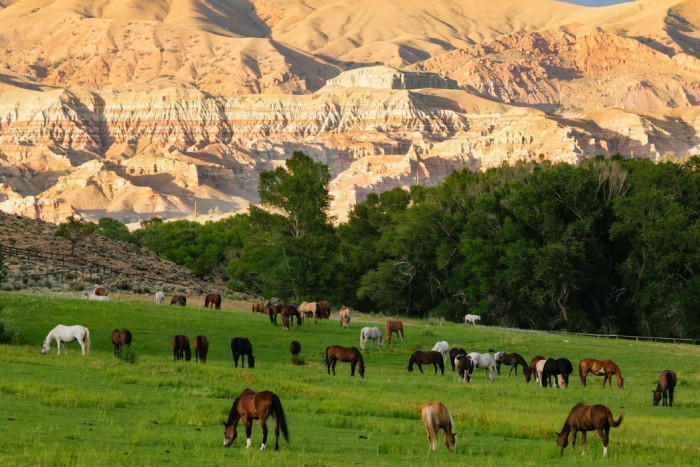 CM Ranch LLC — Dubois, WY